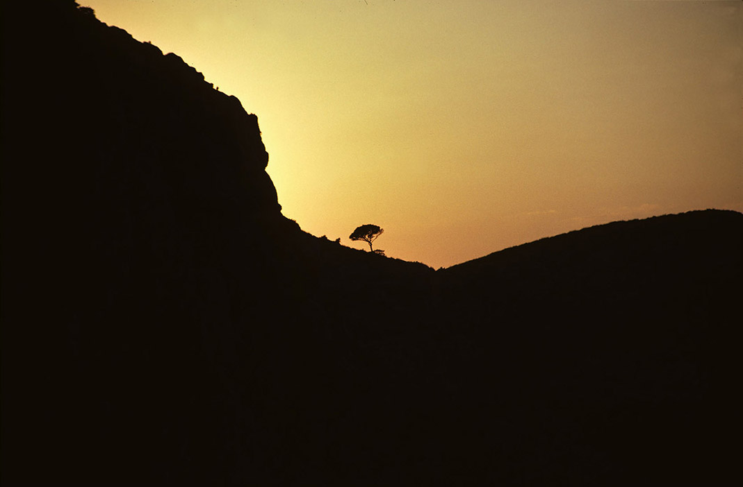 ©copyright Marco Giardini